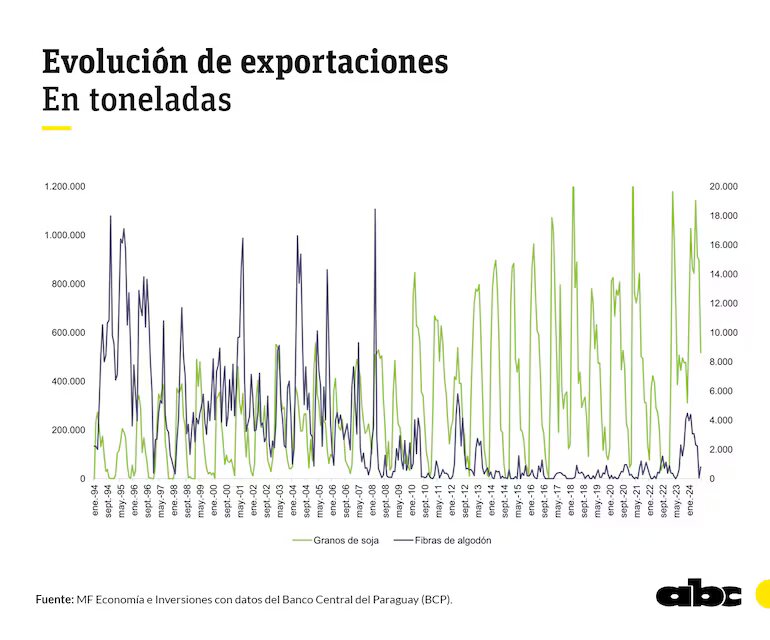 El algodón, un gigante del pasado que se resiste a morir ante el avance de la soja